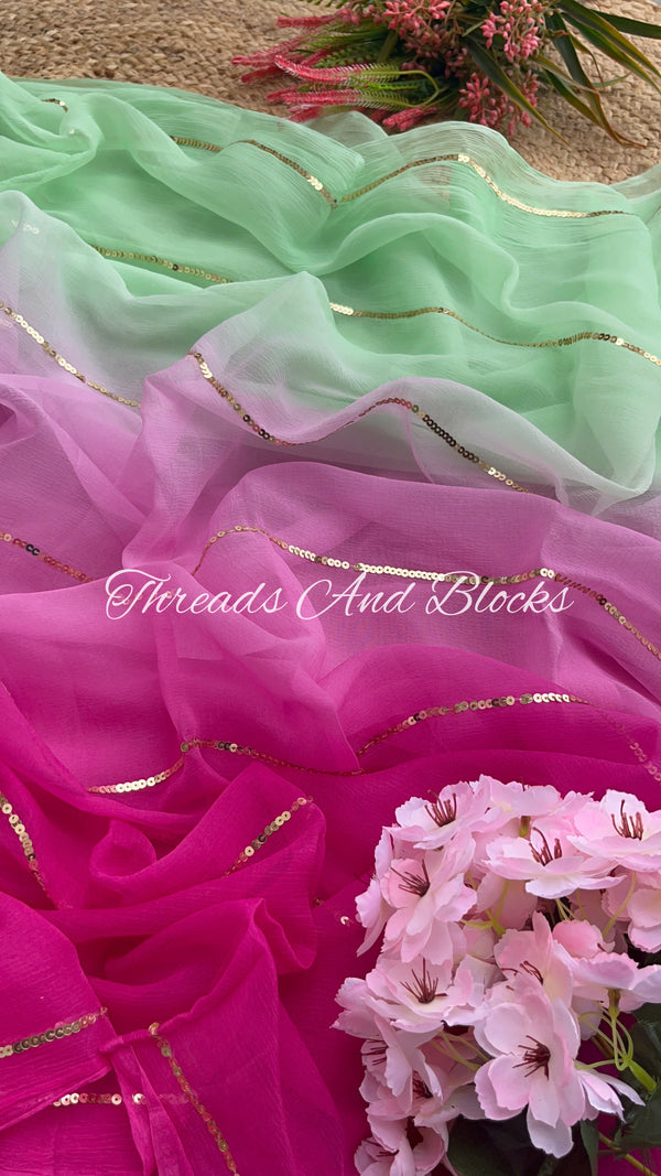 Green Pink Ombré Sequin Saree