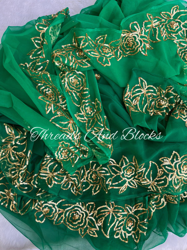 Ombre Green Rose Border Saree