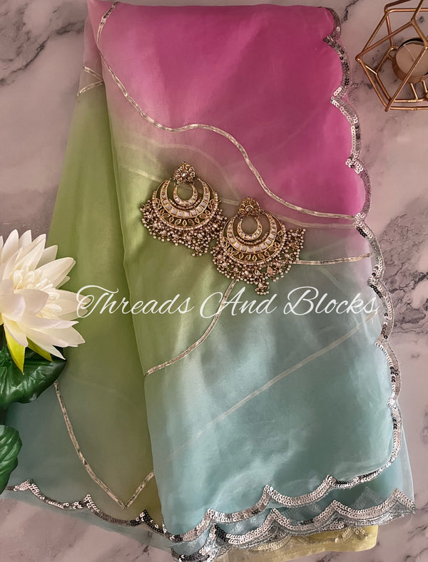 Organza Pastel Sorbet Saree