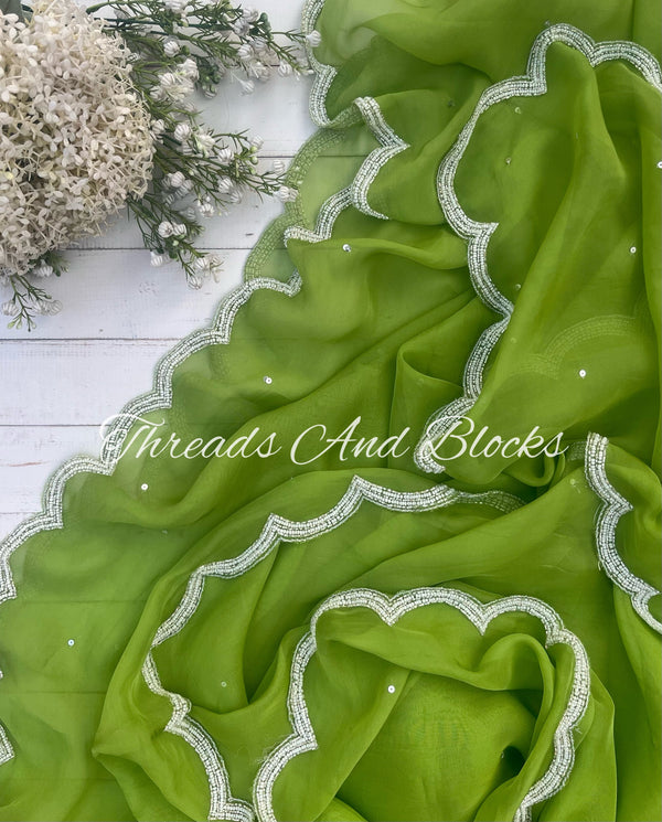 Olive Organza Cutwork Border Saree