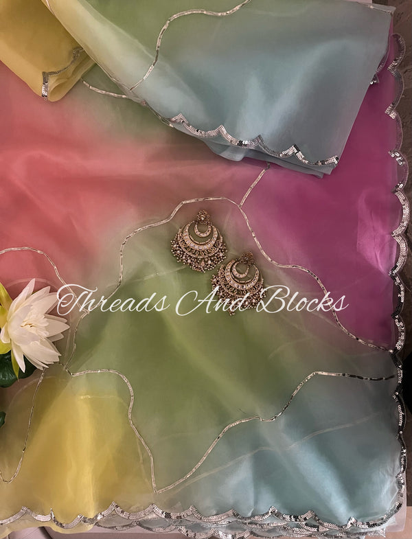 Organza Pastel Sorbet Saree